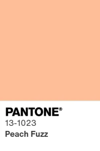 pantone-color-chip-13-1023-tcx-nosuffix
